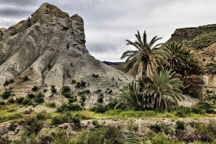 Alojamiento Dunas Centro Tabernas Luaran gambar
